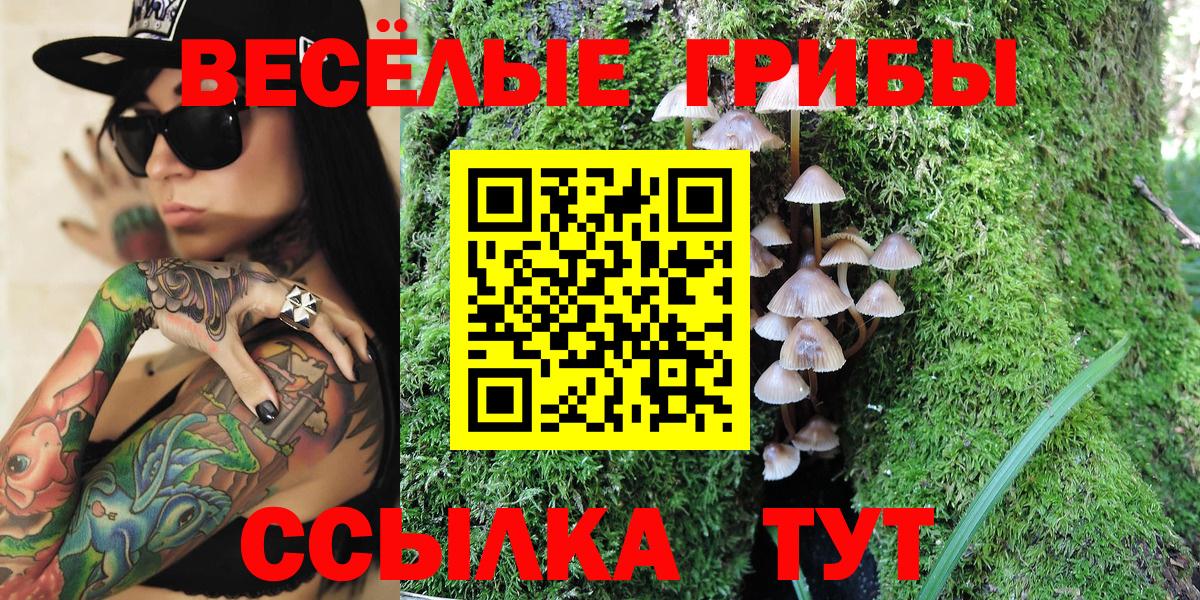 Псилоцибиновые грибы Psilocybe Казань