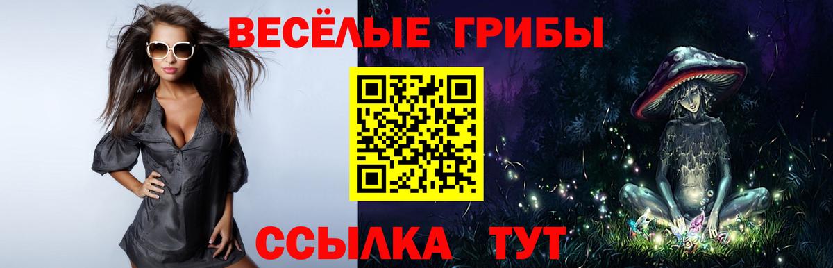 Псилоцибиновые грибы ЛСД  Вход с VPN  Псилоцибиновые грибы Cubensis  Казань 